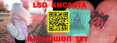 стаф Краснодар