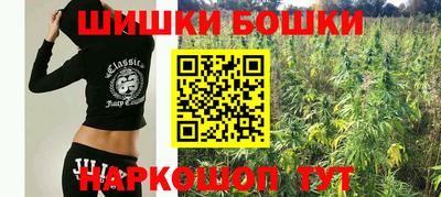 стаф Краснодар