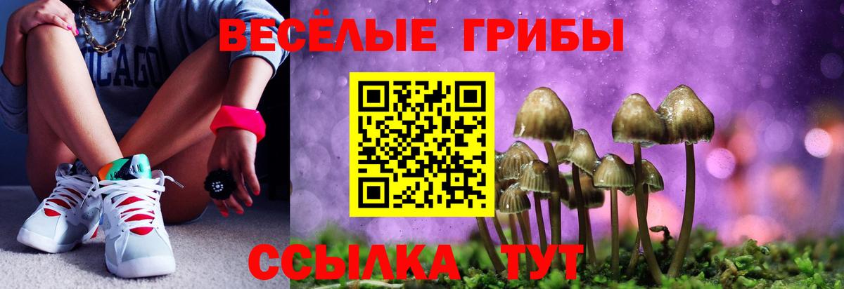 Галлюциногенные грибы мицелий  Вход с VPN  купить   Зеленокумск 